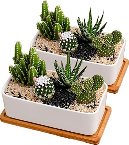 disdain White Ceramic Plant Pots Indoor, Succulent Plant Pot Small Plant Pots for Home Office Decoration(rectangular-set of 2)