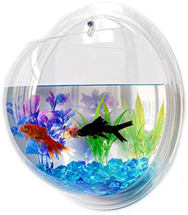 Alipis Fischgläser Wand Aquarium Wandmontiertes Acryl-Fischglas Fischblase Betta-Aquarium Wandbehang Pflanzenterrarium Hydrokulturtopf Für Luftpflanzen Wandfischschale Fischglas
