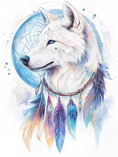 DIY Malen Nach Zahlen Erwachsene Wolf Malen Nach Zahlen Traumfänger Malen Nach Zahlen ab 7 8 9 10 Jahre Mädchen Bastelset, Farbe Acrylfarbe Ölgemälde Set, Zimmer Deko, Gift (30x40 cm Mit Rahmen)-k1266