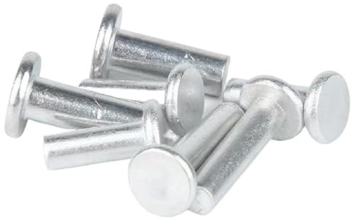 AYYSSM 100 STÜCKE M5x8/10/12/16/20/25mm GB109 Aluminium Vollnieten Knock Flachkopfniete(20mm)