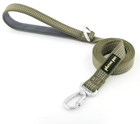 Plutus Pet Heavy Duty Dog Lead with Lockable Aluminum Carabiner, 4/6 Feet Long, Double-Sided Reflective Nylon, Padded Handle, for Puppy, Small, Medium and Large Dogs (Ranger Green, 2.0 x 120cm)