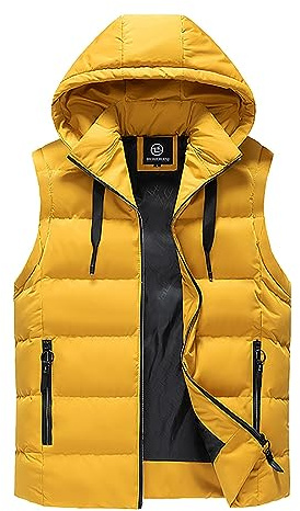 Gilet d'hiver pour homme en coton avec amovible pour les activités de plein air, mode de loisirs comme remplacement de veste sans manches avec fermeture éclair, fonction chaude, idéale en vacances ou