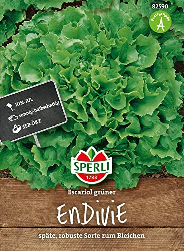 82590 Sperli Premium Endiviensalat Samen | Endivien Samen | Späte u. Robuste Sorte | Endivien Salat | Endivie zum Bleichen