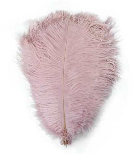 Lot de 10 plumes d'autruche orange, décoration de bijoux, artisanat, centres de table, accessoires, 15-55 cm, 6-22 pouces, grande plume décorative, 25 cm, cuir rose, 25-30 cm, 10-12 pouces