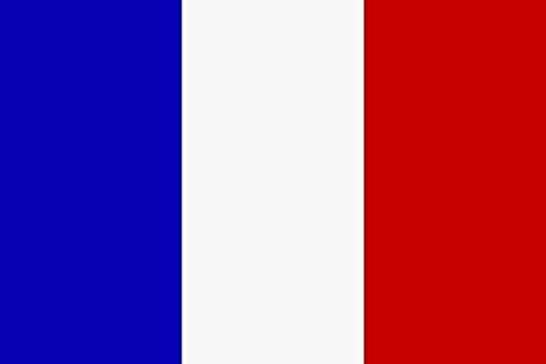 U24 Drapeau de la France pour moto - 20 x 30 cm