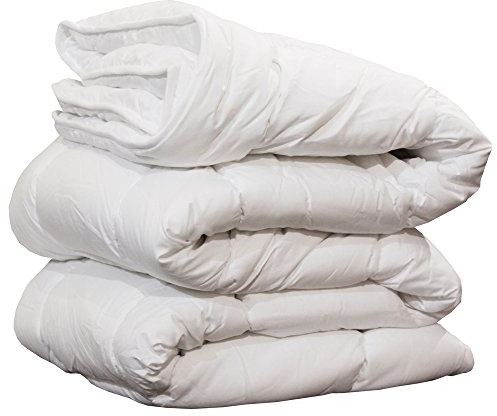 GFFerrari - CALDO PIUMINO INVERNALE 350 gr/m² EXPO IL PIUMONE IN FIBRA VARIE MISURE (LETTO MATRIMONIALE DUE PIAZZE 250 * 200 cm)
