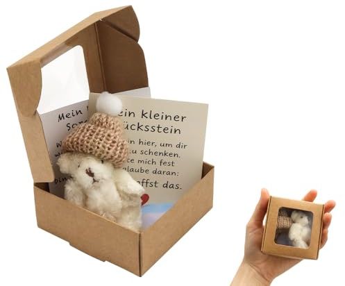 Glückssteine Mutmacher Geschenk,mit Positive Mini-Teddybär,Du Schaffst Das,Glückssteine für Kinder und Erwachsene,Mutstein zur Angstlinderung,Pocket Hug Glücksbringer für Freunde und Familie (Weiß)