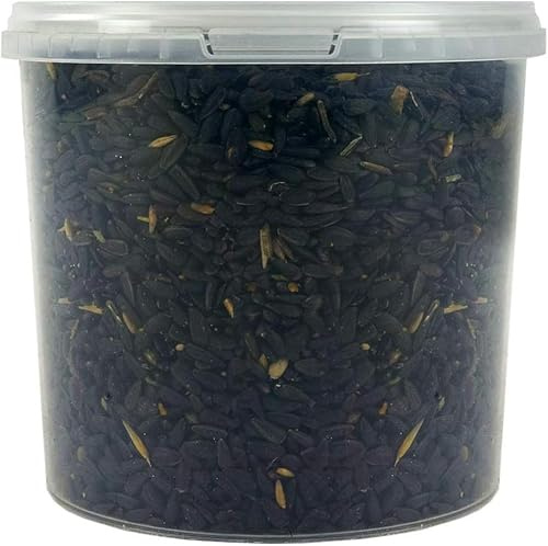 SQUAWK Graines de Tournesol Noir - Nourriture pour Oiseaux Sauvages Riches en Huile pour Jardin (1L)
