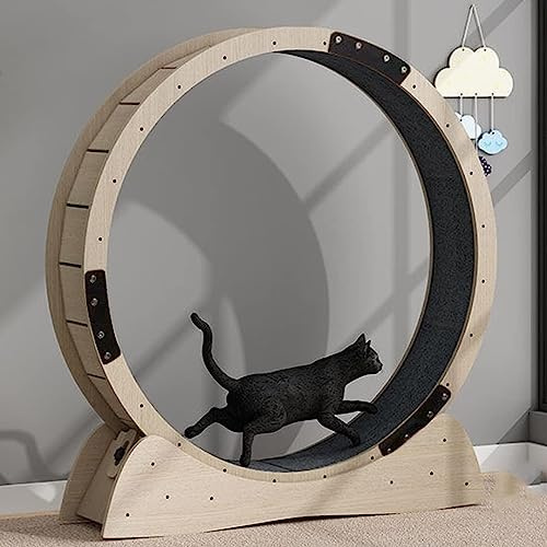 Großes Katzenlaufrad Für Wohnungskatzen, Außendurchmesser 120 cm, Katzenrad Mit Sicherheitssperre Und Austauschbaren Greifpolstern, Geräuschlose Rollen, Katzenlaufrad Zur Gewichtsabnahme Un