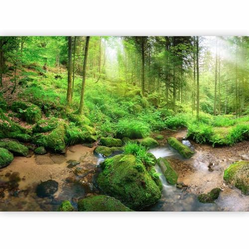 murando - Fototapete selbstklebend Wald, 343x256 cm, Schlafzimmer, Full HD | Selbstklebend ohne Kleister, Full HD Druck, ideal fürs Wohn- oder Schlafzimmer, schnelle Montage, lichtbeständig, geruchsfrei