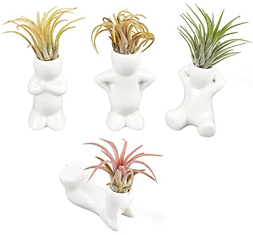 AHANDMAKER Mini Soporte de Cerámica para Plantas de Aire, Macetas de Porcelana con Forma de Muñeca de 4 Pieza, Muñeca de Cerámica de Diferentes Formas Tillandsia Airplant Contenedor Maceta