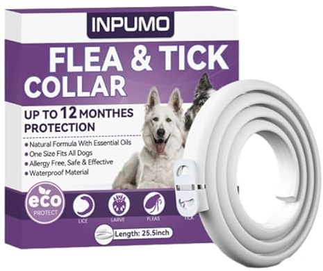 Collar Antiparasitario para Perros, Protección Natural de 12 Meses, Collar Antipulgas Impermeable y Ajustable para Perros Pequeños, Medianos y Grandes (1PCS)