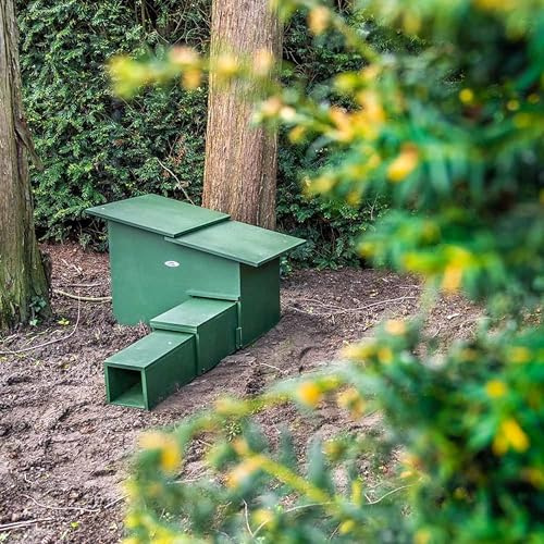 CJ Wildlife Igelhaus Winterfest – Igelfutterhaus – Holz FSC® 100% Grün – mit abnehmbarem Dach und Belüftung – Unterschlupf für Winterschlaf und Nistzeit