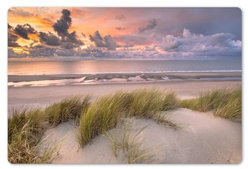 KitchenYeah© Set de 6 Manteles Individuales PVC 45x30 cm Salvamanteles Plástico Tapete para Mesa Comedor Moderno y Lavable Placemat Atardecer - Duna - Playa - Plantas - Mar