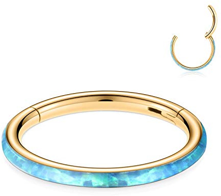AROWRO 16G Septum Clicker Conch Knorpel Daith Helix Ohrringe Septum Nasenring Conch Helix Hoop Conch Daith Helix Piercing Schmuck Conch Ring Conch Daith Helix Septum Nasenschmuck Chirurgenstahl 10mm