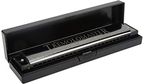Tomotato Mundharmonika 24 Loch Tonart C Mund Metall Stahl Harfe Diatonic Blues Mundharmonika Orgel Instrument Spielzeug mit Etui für Profis Anfänger Kind Erwachsene
