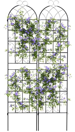 RELAX4LIFE Rankgitter 2er Set, Rankzaun Metall, Garten Spalier zum Stecken, Gartendeko Rosengitter Gartenzaun, Rankhilfe für Rosen Blumen Kletterpflanzen (220 x 50 cm,Schwarz)