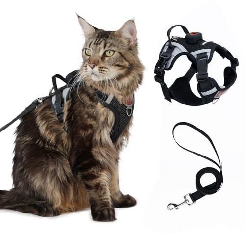Katzengeschirr und Leine, Set mit AirTag-Halter, ausbruchsichere, verstellbare Kätzchen-Weste mit Leine für große Katzen, kleine Hunde, Welpen, weiche, atmungsaktive Netzjacke mit reflektierenden