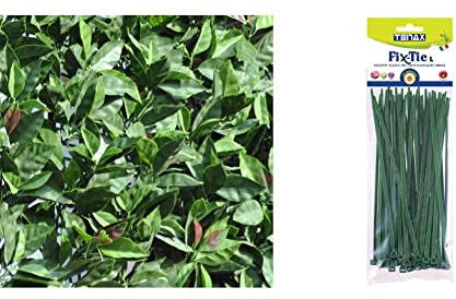 tenax Divy 3D Plus Photinia, Siepe Sintetica 1,50x3m Foglie Tipo Fotinia su Rete di Plastica & Fix-Tie plastica, Fascette Fissaggio, Verde, 1 X 0.1 X 20 cm