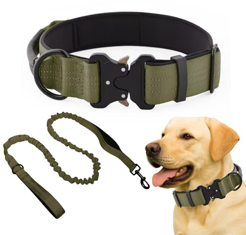 Collar Táctico con Correa para Perro Mediano y Grande, Collar Ancho, Ajustable y Resistente con Asa de Sujeción y Hebilla metálica, Correa con Doble Asa y Sistema Amortiguador de Tirones