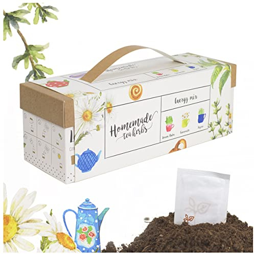 Interflowers Küchenkräuter set - Bio Kräuter Samen & Tee in Geschenkverpackung Anzuchtset Mini Blumenkasten Anzuchtkasten gemüse Saatgut für Hochbeet DIY (Tee Mix Energy)