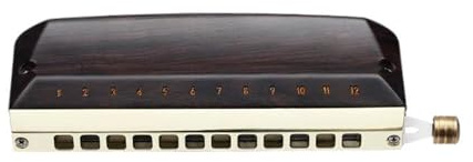 Chromatische Mundharmonika 12 Löcher Mundharmonika Ebenholz Abdeckung Harfe Professionelle Armonica Instrumentos Holz Musikinstrumente klassische Mundharmonika
