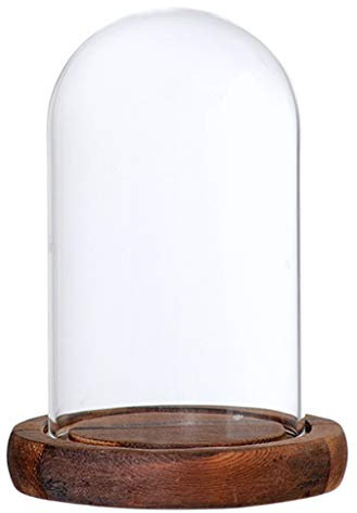 perfk Cupola di Vetro Vaso Forma di Campana di Vetro con Legno, Brown a