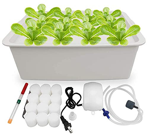 DWC Haushalts-Hydrokultur-System-Wachstumsset, 12 Seiten, Eimer mit Luftpumpe, Blasenstein und Pflanzschwämmen – komplettes Hydrokultur-Kräutergarten für die Küche
