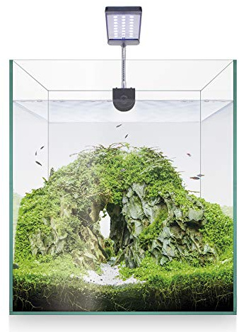 ICA KNAQ20 Kit Acuario Nano AQUASCAPE RGB 20 litros, 26,7x26,7x32 cm, Filtro Cascada, Pantalla LED RGB, Alimento Peces, Acondicionadores, Sustrato Aqua Gro, Guía Práctica del Aquascaping