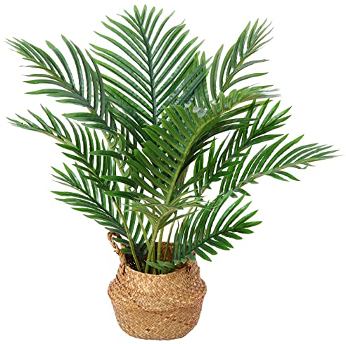 Kazeila Artificial Plants Indoor in Pot 60cm Tall Fake Plants Palm Tree Plastic Faux Tropical Plant for Home Living Room Decoration(1Pack)