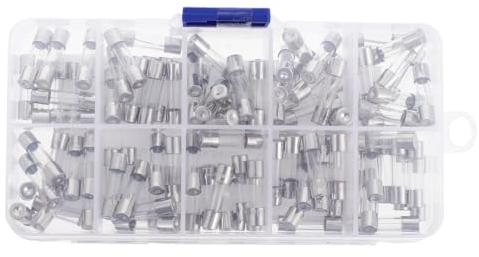 HOMSFOU Bausätze 100st Sicherung Verpackt 20a Glas Komponentenbox Autosicherungen
