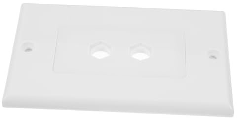 Plaque Murale pour Haut-parleur 2-gang Abs, Connecteur Audio à Deux Ports