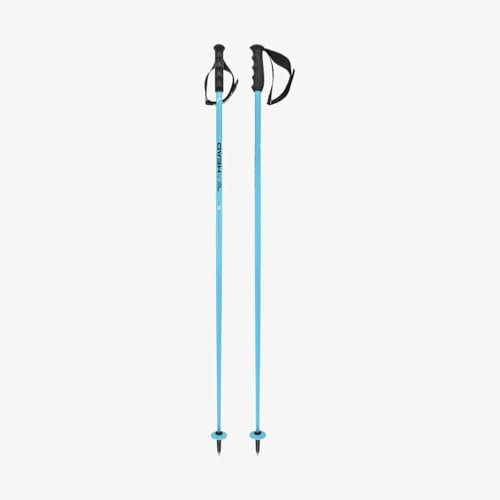 HEAD Worldcup SL, Bastoni da Sci Unisex Adulto, Speed Blue/Nero/Bianco, 130