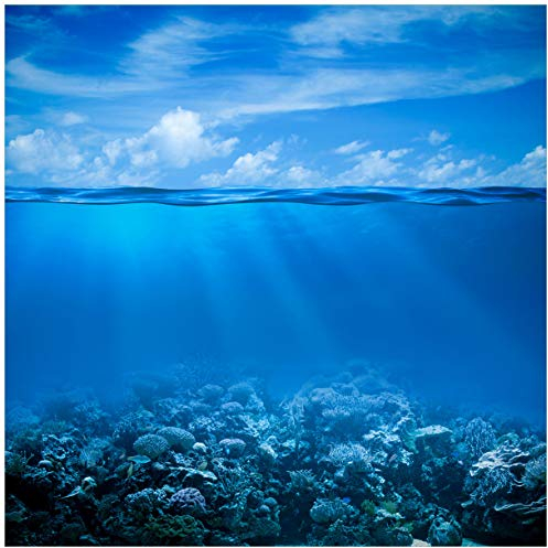 Wallario Glasbild Unterwasserwelt Meer - 50 x 50 cm Wandbilder Glas in Premium-Qualität: Brillante Farben, freischwebende Optik