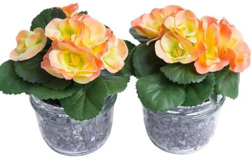 Botanic-Haus künstliche Frühlingsblume Mini-Begonie mit 5 Stielen im Glas (2 Stück) (lachs-gelb)