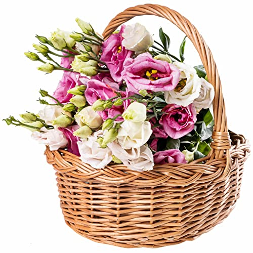 Creative Home Osterkörbchen Weihnachtskorb Picknickkorb Weidenkorb mit Henkel Einkaufskorb | 30 x 27 x 24 cm (+/- 1 cm) | Groß und Leicht | Naturbraun | Handgeflochten | Langlebig Geflochten