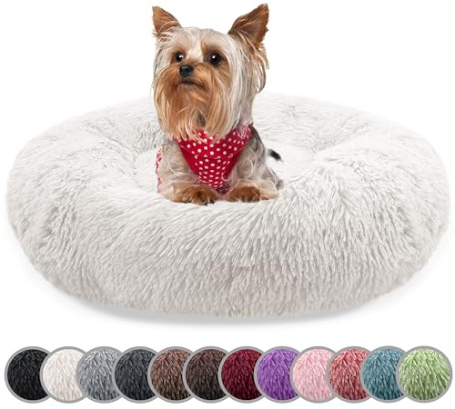bluzelle Hundebett für kleine Hunde & Katzen, Cream, XXS-50 cm