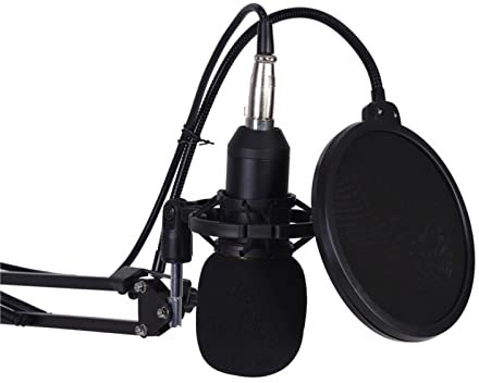 Annadue Micrófono de Condensador, Juego de Micrófono de Condensador de Estudio Profesional con Soporte de Brazo, Tapa de Espuma con Filtro Pop, Kit de Micrófono de Grabación Portátil