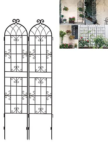 ksamwjf Garden Metal Trellis Fence Panel, Heavy Duty Rustproof Iron Arched Frame for Potted Plants Support Lattice for Climbing Plants, 19.6 Wide x 80.7 High, for Vine Ivy Rose Cucumbers Clematis