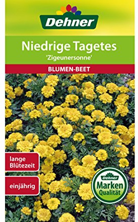Dehner Blumen-Saatgut, Niedrige Tagetes Zigeunersonne, 5er Pack (5 x 1.3 g)