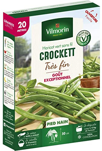 Vilmorin - Graines de Haricot vert sans fil Crockett très fin 20 mètres