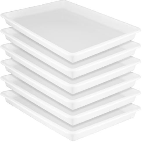 ZOENHOU 6 stycken plastbrickor 39,5 x 28,5 x 4 cm, vit konstbricka rektangulär, stor serveringsbricka av plast multifunktionella sorteringsskålar för skola, pysselprojekt, sensoriskt spel