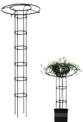 Griglia per piante rampicanti all'aperto | Struttura di supporto per piante rampicanti in giardino, supporto per piante rampicanti in metallo con forma a colonna, per fiori, piante da interno e piante