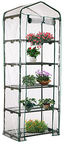 The Best Day - Mini serra da giardino a 5 ripiani, in PVC, 187 x 69 x 49 cm, colore verde