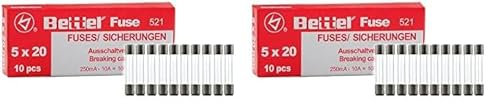 Sicherung 10A flink 5x20mm 250V TYP 521 10er Päckchen Feinsicherung Glassicherung G-Sicherung (Packung mit 2)