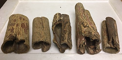 Catappa-Leaves 5 Bizarre Höhlen für natürlich gesundes Wasser, Aquarium Dekoration vom asiatischen Seemandelbaum/Marke (Größe 3 von 4)