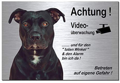 Pitbull-Videoüberwachung-Hund-Schild-Hundeschild-200 x 150 x 3 mm + 300 x 200 x 3 mm-Aluminium Edelstahloptik-Hunde-Tierschild-Warnschild-Hinweisschild (249-20 = 20 x 15 cm mit 2 Löcher)