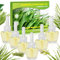 Scent-Hi Ambientador Eléctrico Recambios - Citronela, 6 x 19ml, Apto para Difusores Eléctricos de Mecha Air Wick/Glade, Dormitorio, Oficina, Estudio