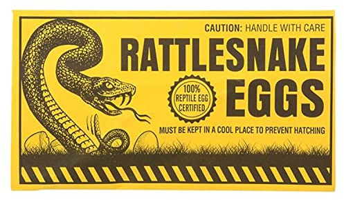 Rhode Island Novelty Joke Rattlesnake Egg Envelope, Set of 6