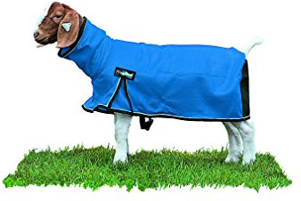 Weaver Leather Livestock ProCool Mesh Goat Blanket with Reflective Piping, Blue, Medium